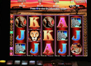 壹号app官网版电脑免费版